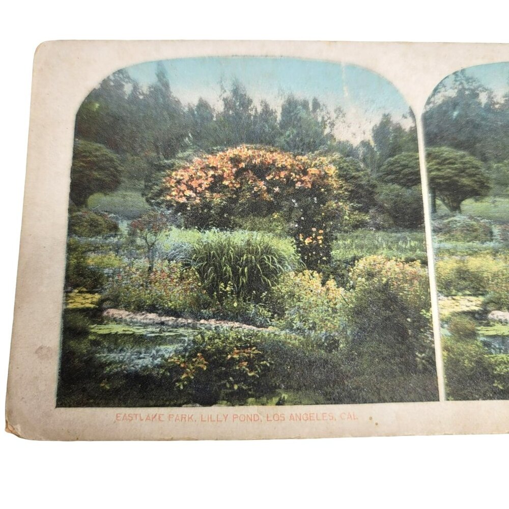 Vintage Stereoscope Photo Card Eastlake Park Lilly Pond Los Angeles LI86